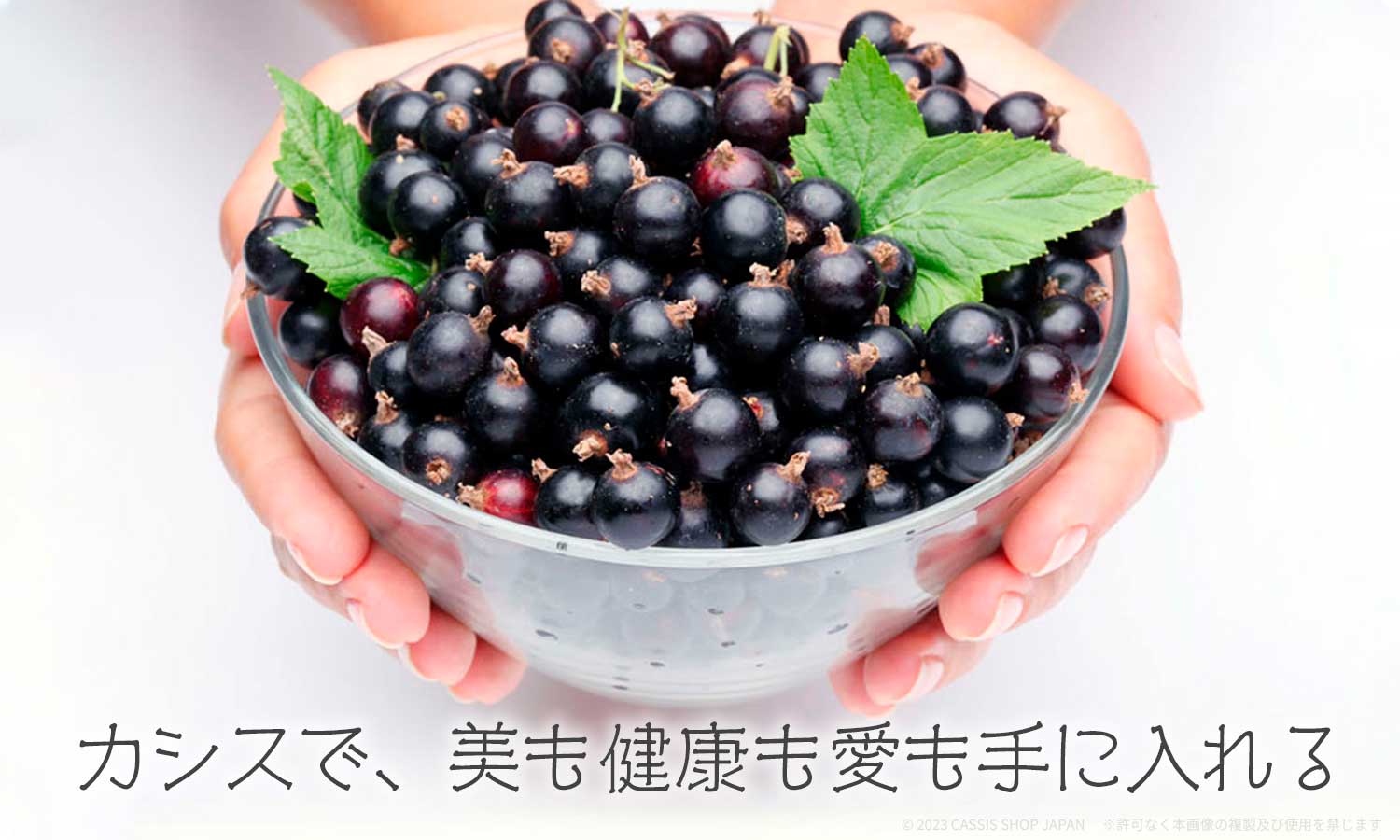 カシスイメージ